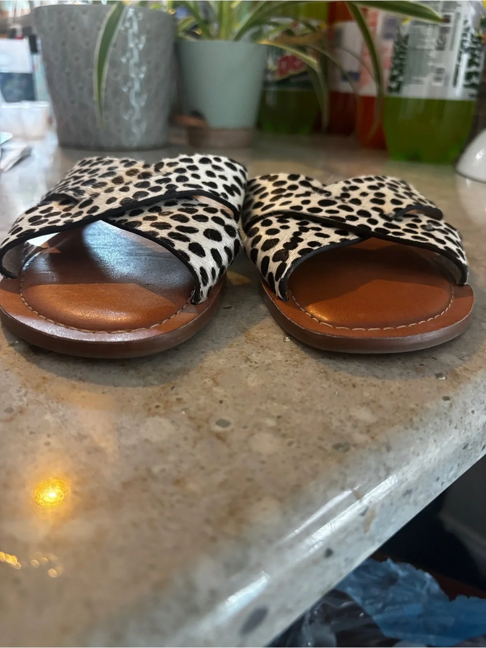 Jack Rogers Black & White Dalmatian-Print Cross Strap Sandals - Picture 2 of 5